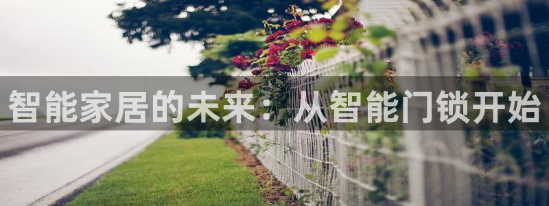 开丰娱乐注册自判官333OO：智能家居的未来：从智能门锁开始