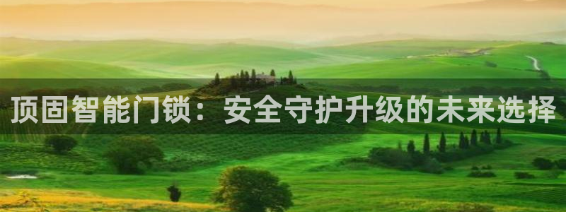 开丰娱乐官网登录网址：顶固智能门锁：安全守护升级的未来选择