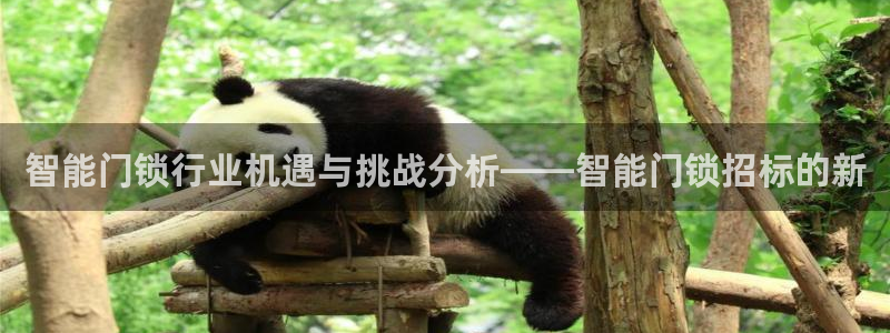 开丰娱乐注册自判官333OO：智能门锁行业机遇与挑战分析——