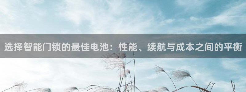 开丰娱乐2登录：选择智能门锁的最佳电池：性能、续航与成本之间