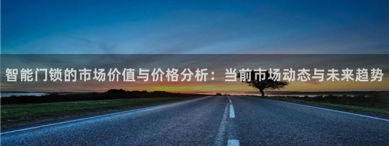 圩丰刚开的娱乐场所：智能门锁的市场价值与价格分析：当前市场动