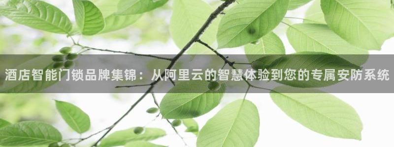 开丰娱乐登录地址入口：酒店智能门锁品牌集锦：从阿里云的智慧体