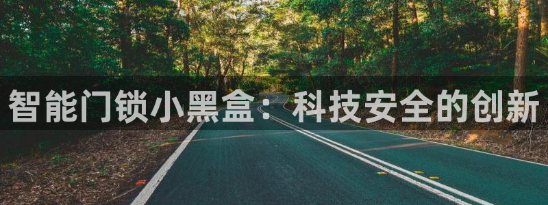 开丰娱乐测速：智能门锁小黑盒：科技安全的创新