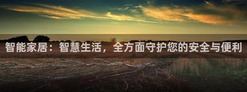 开丰娱乐平台：智能家居：智慧生活，全方面守护您的安全与便利