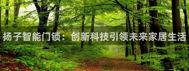 开丰娱乐登录：扬子智能门锁：创新科技引领未来家居生活
