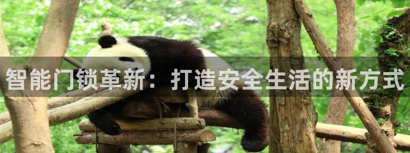 开丰娱乐主管：智能门锁革新：打造安全生活的新方式
