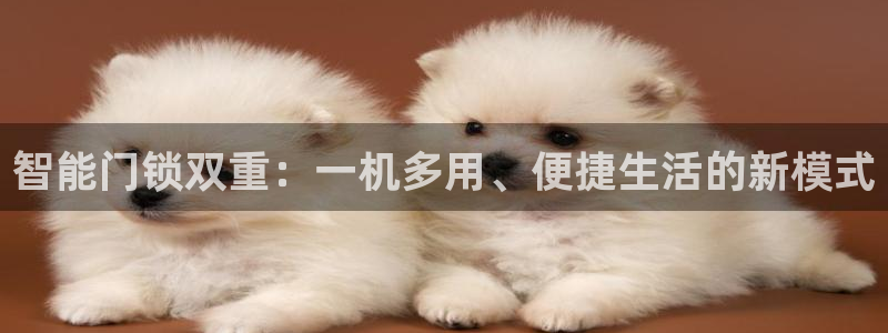 开丰娱乐日7O667：智能门锁双重：一机多用、便捷生活的新模