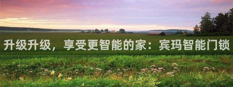 开丰娱乐网官网注册入口：升级升级，享受更智能的家：宾玛智能门