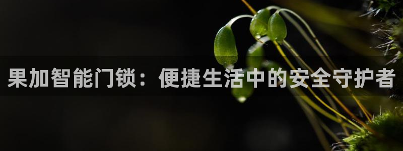 开丰娱乐登陆地址：果加智能门锁：便捷生活中的安全守护者
