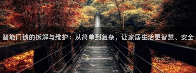 开丰娱乐登入地址：智能门锁的拆解与维护：从简单到复杂，让家居