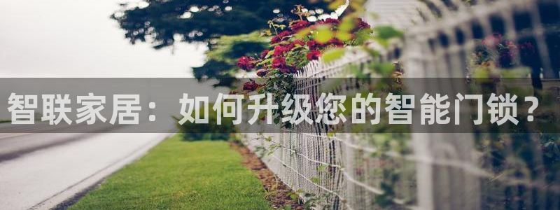 开丰娱乐不开了吗：智联家居：如何升级您的智能门锁？