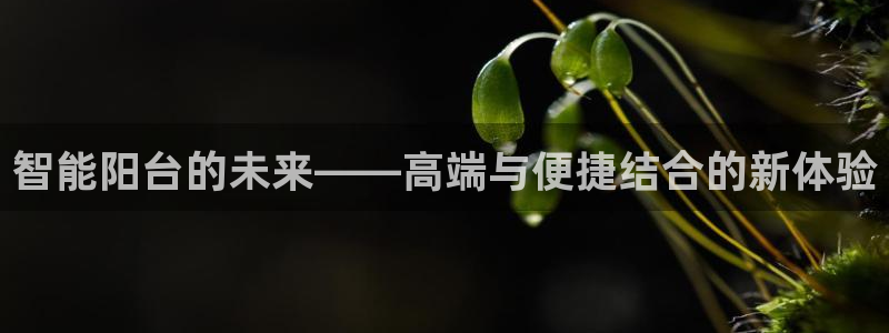 开丰娱乐登录网址：智能阳台的未来——高端与便捷结合的新体验