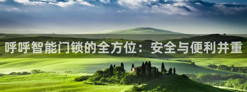 开丰娱乐下7O667：呼呼智能门锁的全方位：安全与便利并重