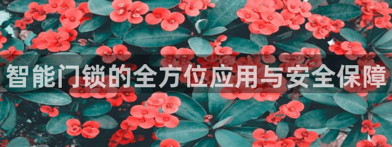 开丰娱乐登入地址在哪：智能门锁的全方位应用与安全保障
