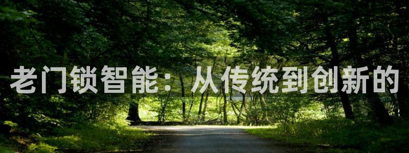开丰娱乐平台地址：老门锁智能：从传统到创新的