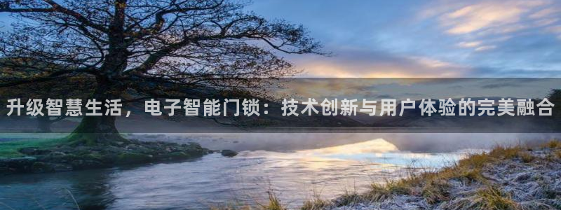 开丰娱乐登录注册：升级智慧生活，电子智能门锁：技术创新与用户