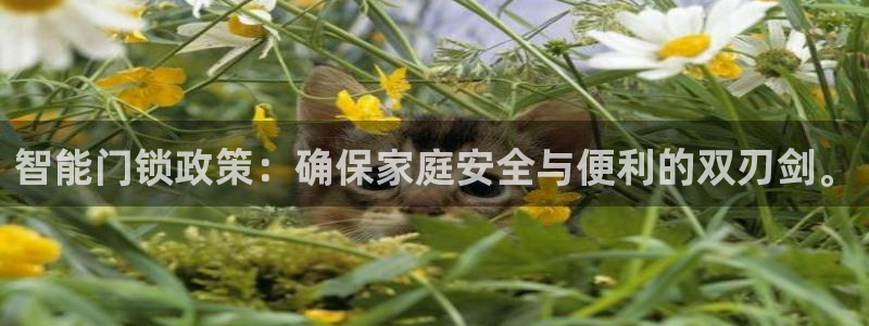 开丰娱乐下：智能门锁政策：确保家庭安全与便利的双刃剑。