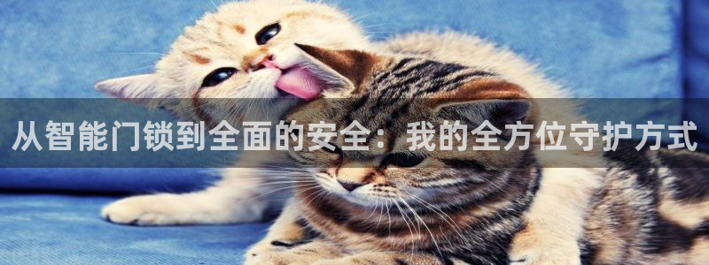 开丰娱乐寸67五壹叁八：从智能门锁到全面的安全：我的全方位守