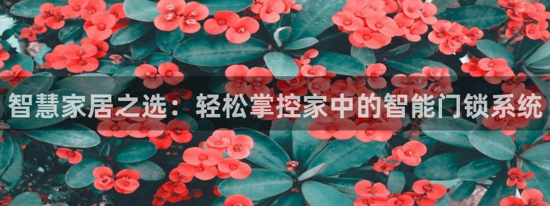 开丰娱乐官网：智慧家居之选：轻松掌控家中的智能门锁系统