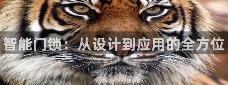 开丰娱乐开户：智能门锁：从设计到应用的全方位