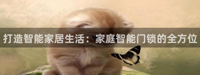 开丰娱乐手机app：打造智能家居生活：家庭智能门锁的全方位