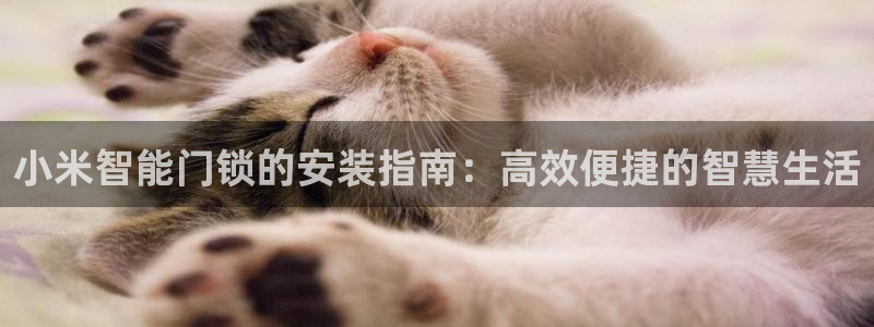 开丰娱乐官网平台电话：小米智能门锁的安装指南：高效便捷的智慧