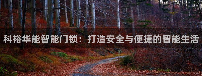 开丰娱乐官网电话：科裕华能智能门锁：打造安全与便捷的智能生活
