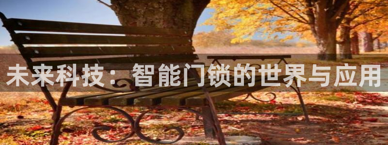 开丰娱乐平台提现失败：未来科技：智能门锁的世界与应用