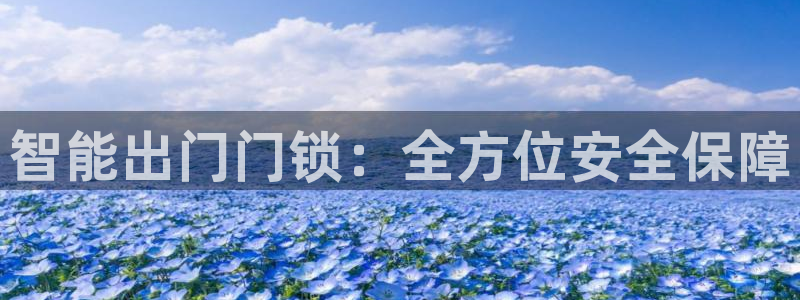 开丰娱乐手机app：智能出门门锁：全方位安全保障