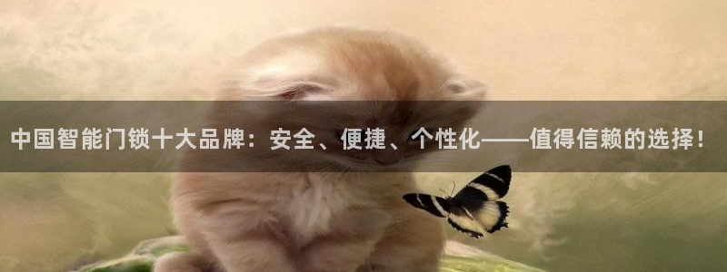 开丰娱乐月：中国智能门锁十大品牌：安全、便捷、个性化——值得
