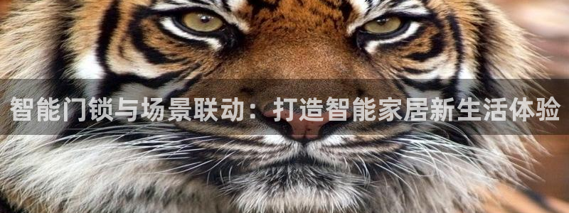 开丰娱乐靠谱吗：智能门锁与场景联动：打造智能家居新生活体验