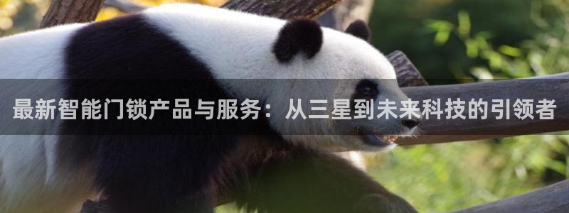 开丰娱乐注册资金多少：最新智能门锁产品与服务：从三星到未来科