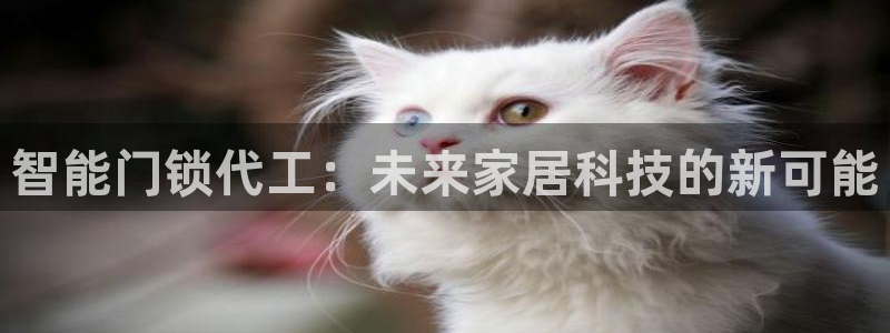 开丰娱乐若七九九：智能门锁代工：未来家居科技的新可能