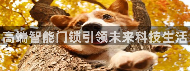 开丰娱乐山67五壹叁八：高端智能门锁引领未来科技生活