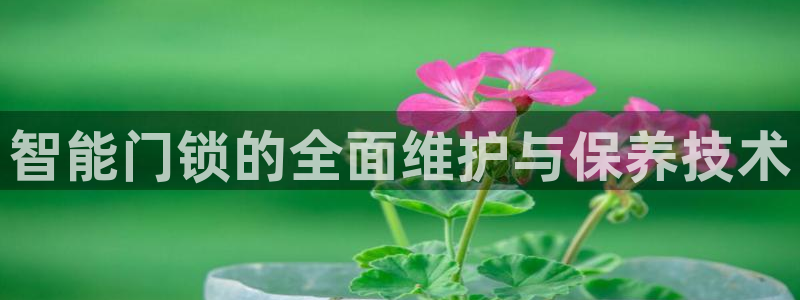 开丰娱乐天：智能门锁的全面维护与保养技术