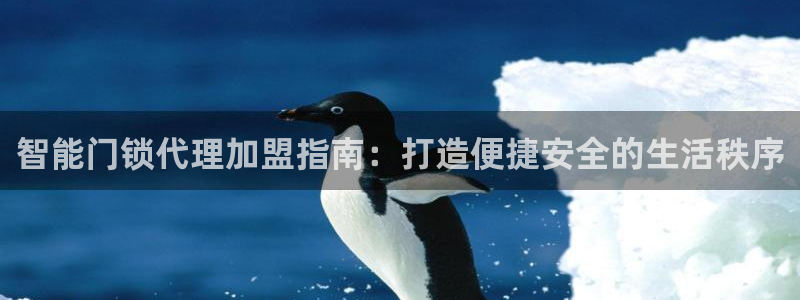 下载开丰娱乐：智能门锁代理加盟指南：打造便捷安全的生活秩序