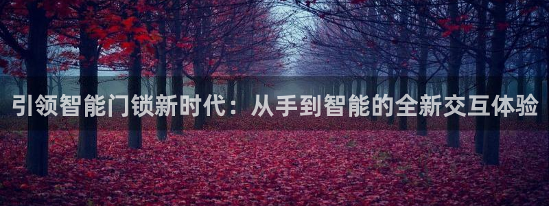 开丰娱乐姜333OO：引领智能门锁新时代：从手到智能的全新交