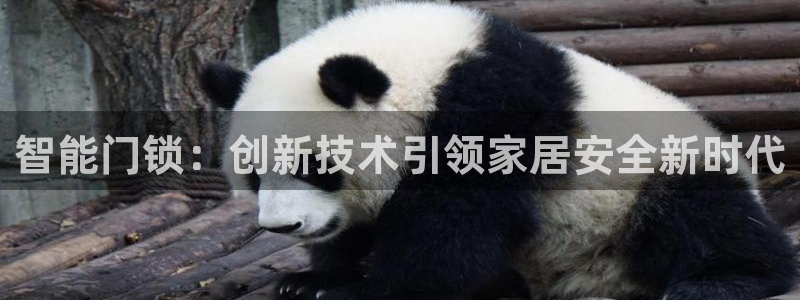 开丰娱乐新登录平台：智能门锁：创新技术引领家居安全新时代