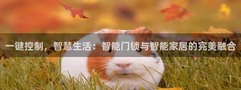 开丰娱乐主管：一键控制，智慧生活：智能门锁与智能家居的完美融