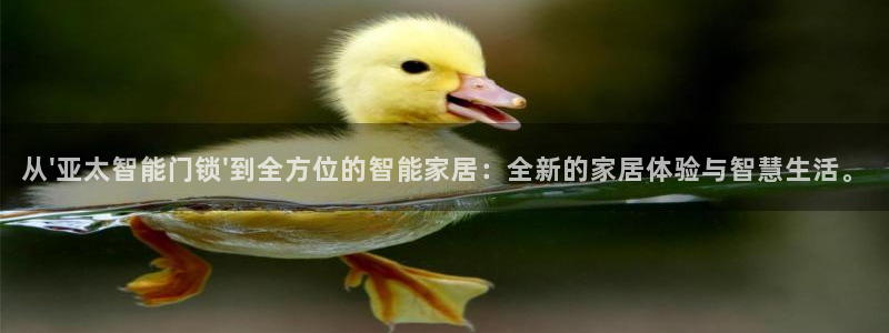 开丰娱乐登陆：从\'亚太智能门锁\'到全方位的智能家居：全新