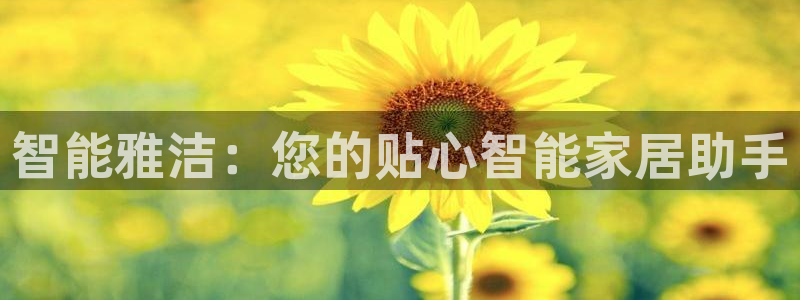 开丰娱乐登录地址入口：智能雅洁：您的贴心智能家居助手