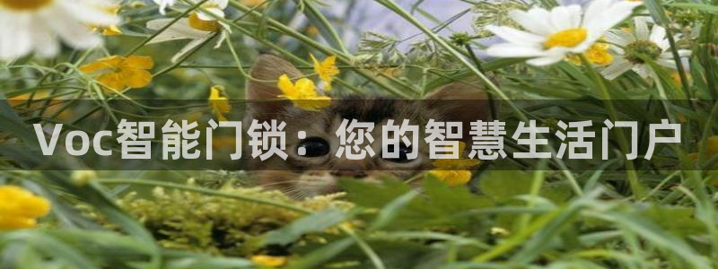 开丰娱乐登入：Voc智能门锁：您的智慧生活门户