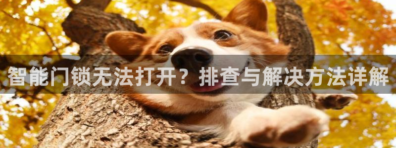 开丰娱乐天7O667：智能门锁无法打开？排查与解决方法详解