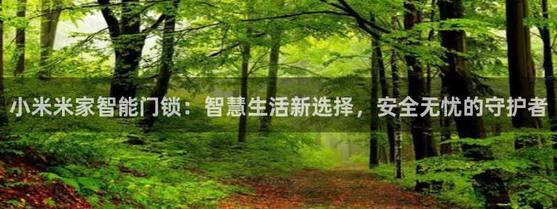 开丰娱乐最新活动：小米米家智能门锁：智慧生活新选择，安全无忧