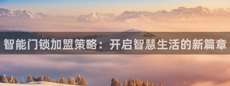 开丰娱乐网站官网：智能门锁加盟策略：开启智慧生活的新篇章