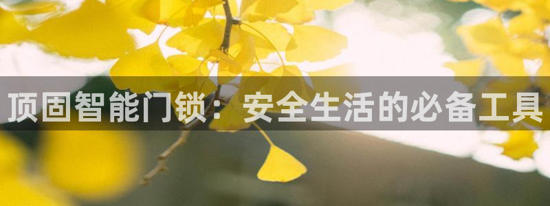 开丰娱乐登入地址在哪儿：顶固智能门锁：安全生活的必备工具