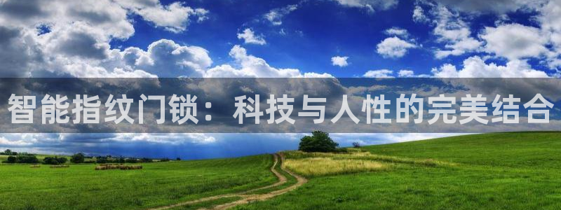 开丰娱乐趣 7O935：智能指纹门锁：科技与人性的完美结合