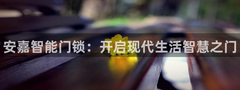 开丰娱乐平台登录网址：安嘉智能门锁：开启现代生活智慧之门