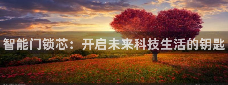 开丰娱乐官网最新消息：智能门锁芯：开启未来科技生活的钥匙
