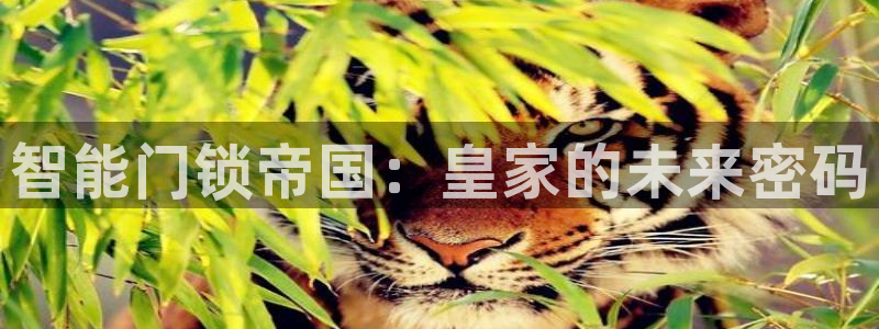 开丰娱乐下载安装：智能门锁帝国：皇家的未来密码